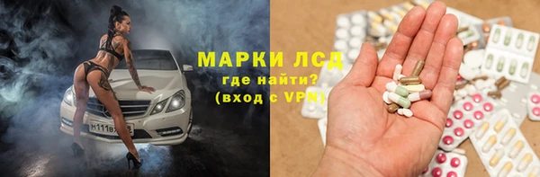 спайс Ладушкин