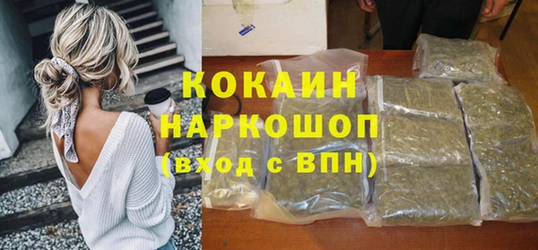 спайс Ладушкин