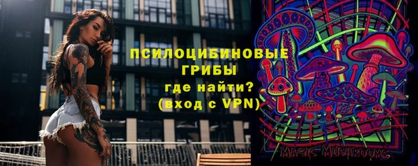 спайс Ладушкин