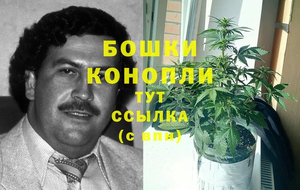 спайс Ладушкин
