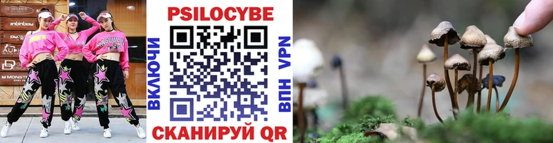 Купить где  Мензелинск  Галлюциногенные грибы прущие грибы 